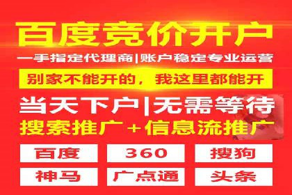 SEM代运营机构成功案例：优化策略与效果分析